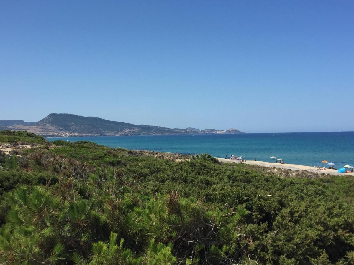 הוילה Viddalba Carrabean Sea In The North Of Sardegna, With Swimming Pool מראה חיצוני תמונה