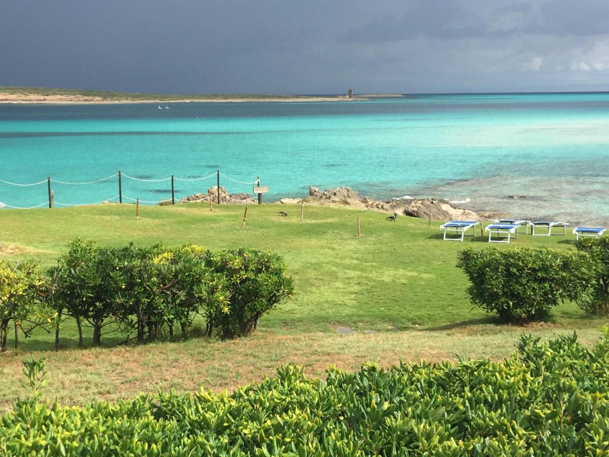 הוילה Viddalba Carrabean Sea In The North Of Sardegna, With Swimming Pool מראה חיצוני תמונה