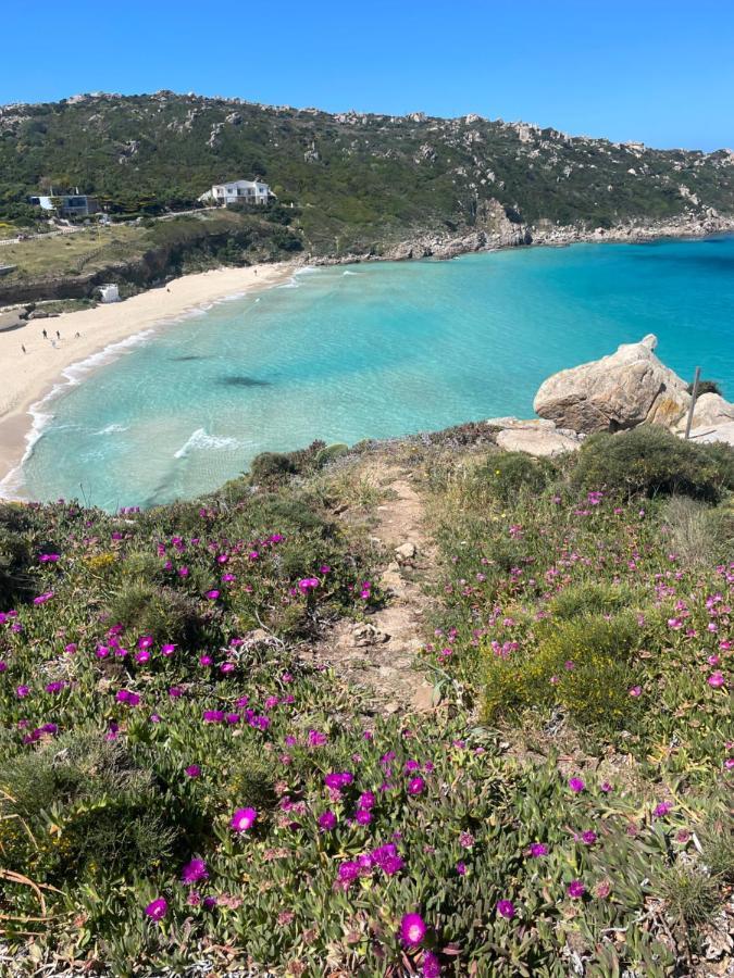 הוילה Viddalba Carrabean Sea In The North Of Sardegna, With Swimming Pool מראה חיצוני תמונה