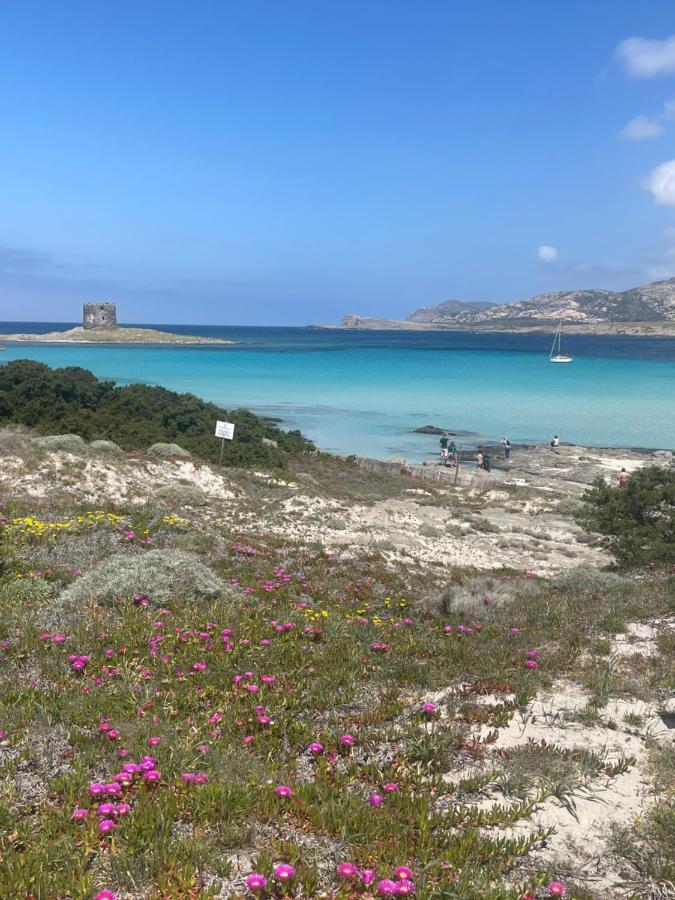 הוילה Viddalba Carrabean Sea In The North Of Sardegna, With Swimming Pool מראה חיצוני תמונה
